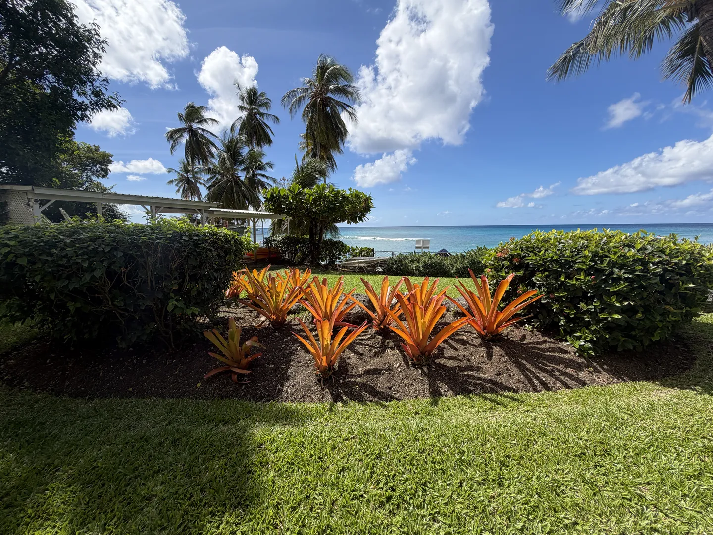 Tropical Gardens Tropical gardens at Saint Peter's Bay resort