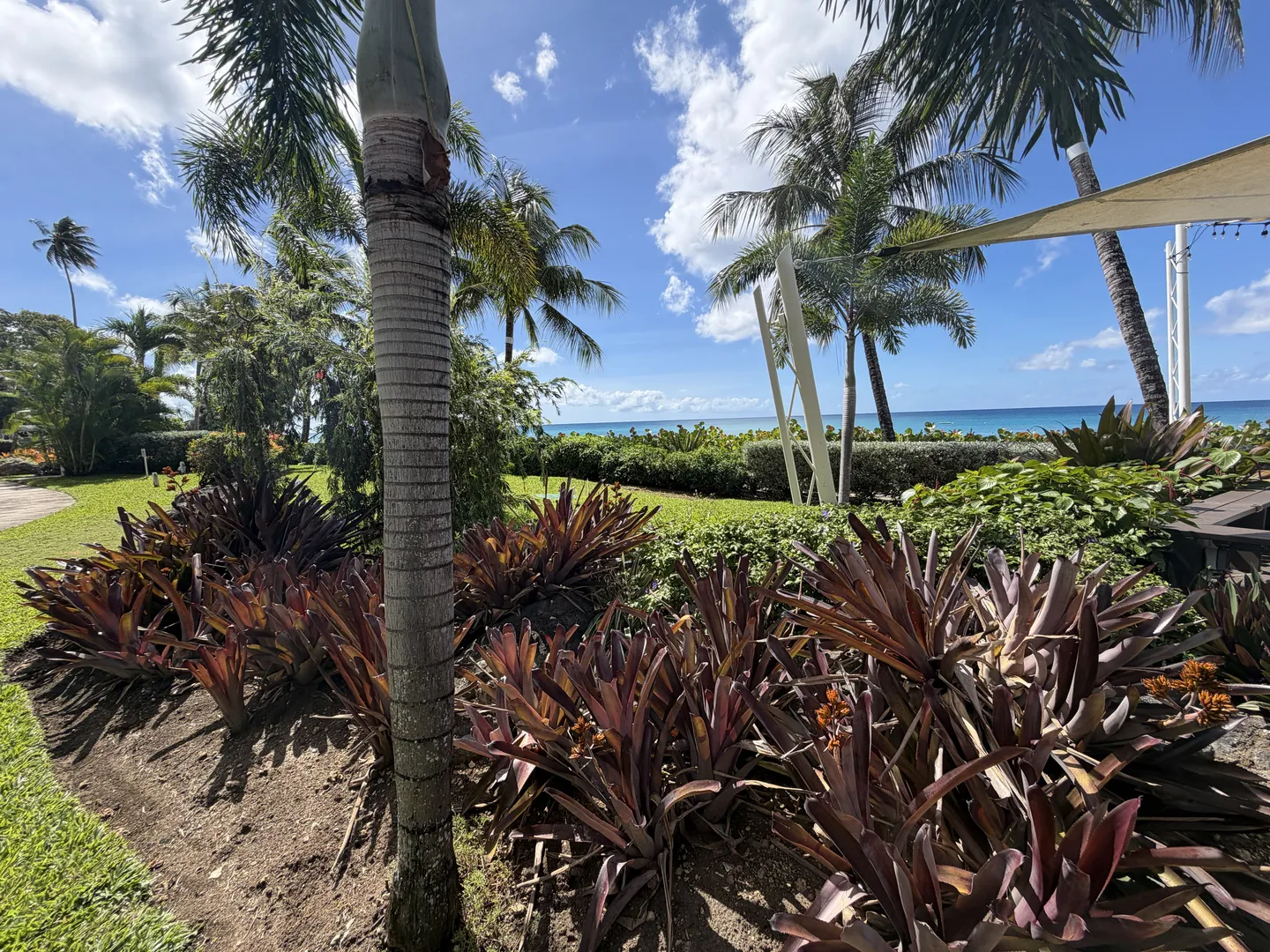 Garden Pathway Lush tropical gardens with palm trees